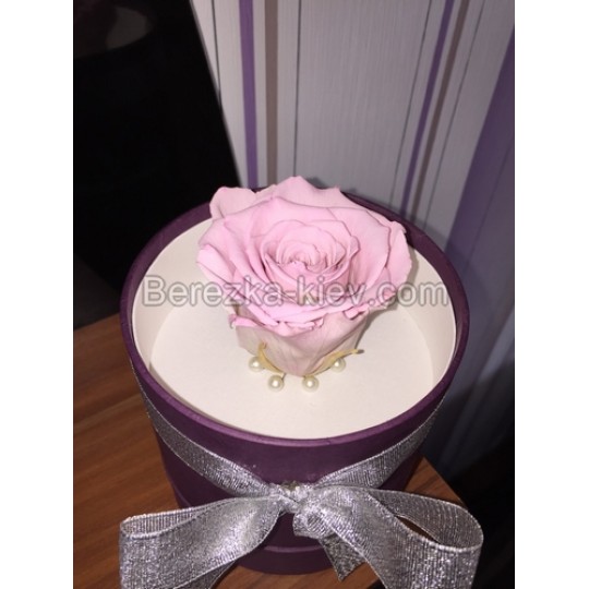Стабилизированная роза в фиолетовой коробке (розовая)
